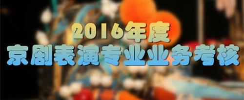 鸡吧艹国家京剧院2016年度京剧表演专业业务考...